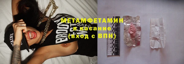мет Алексин