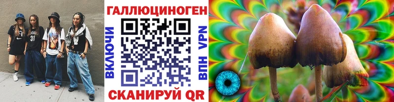 mega ссылка  где купить наркотик  Нерехта  Галлюциногенные грибы GOLDEN TEACHER 