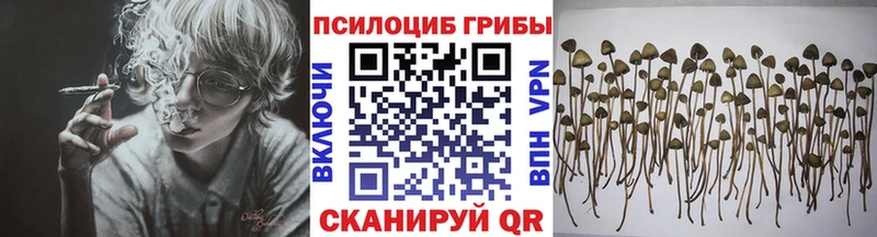 Галлюциногенные грибы прущие грибы Нерехта